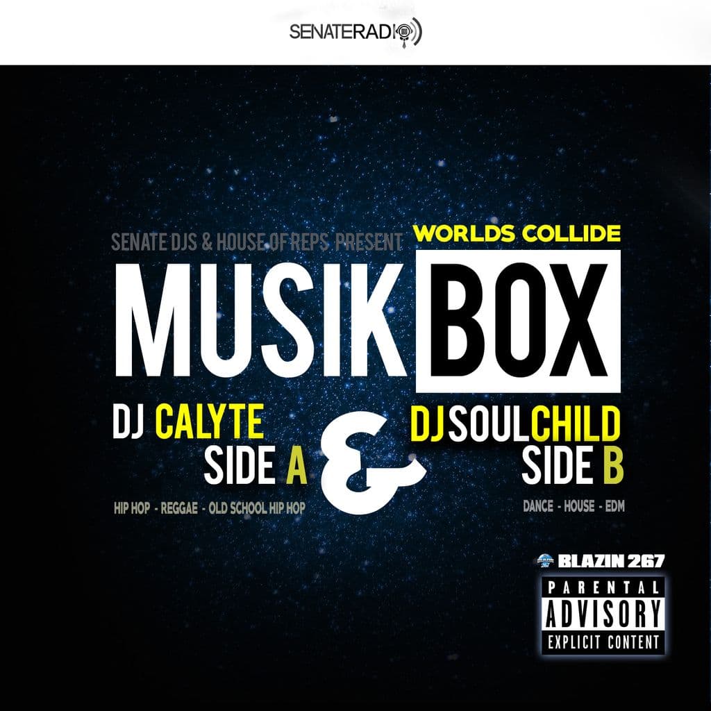 SENATE DJS | REPS DJS- MUSIK BOX-SEASON 2 - | DJ CALYTE & DJ SOULCHILD cover artwork